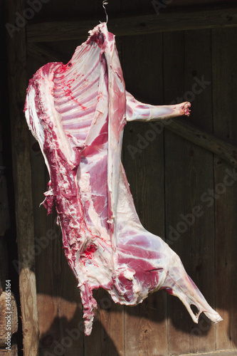Raw red lamb meat on a hook