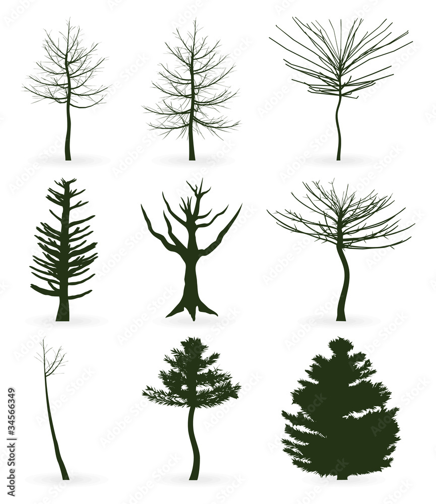 Obraz premium Trees icon5