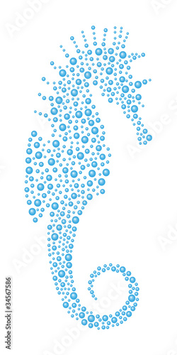 Abstract Seahorse