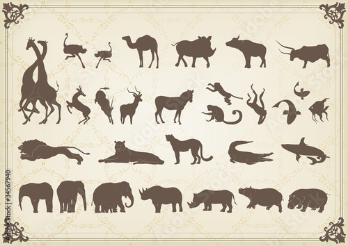 Vintage african animals illustration collection