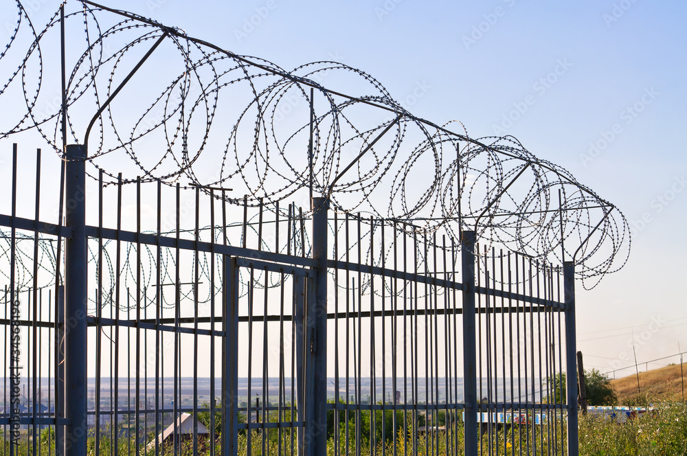Fototapeta premium Fence of barbed wire