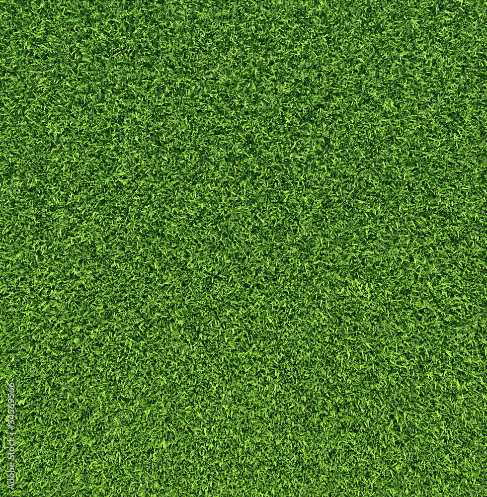 Obraz premium Grass