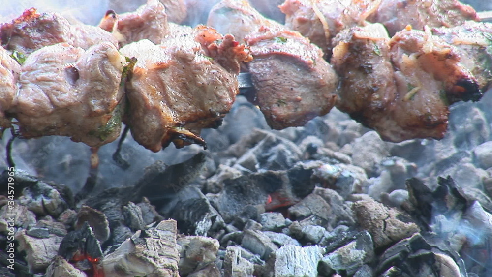 shashlik (shish kebab) over coals shashlik (shish kebab) over coals