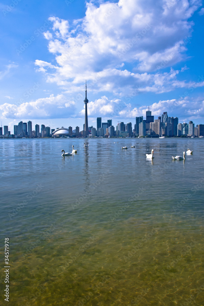 Obraz premium Harmony in the Lake