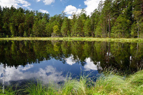 Dekoracja na wymiar summer-view-of-the-lake-in-forest