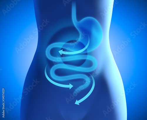 Sanfte Medizin im Verdauungstrakt - Infografik