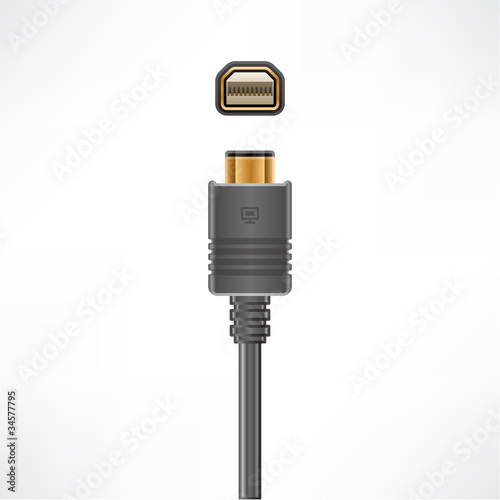 Mini Display Port
