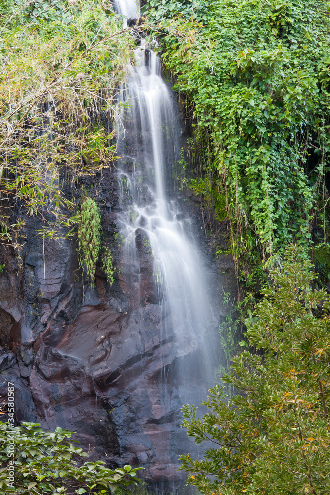 Fototapeta premium Anse des Cascades, île de la Réunion