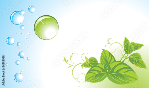 Drops and sprigs. Background for banner