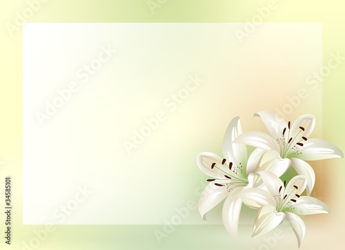 bouquet of lilies with place for your text