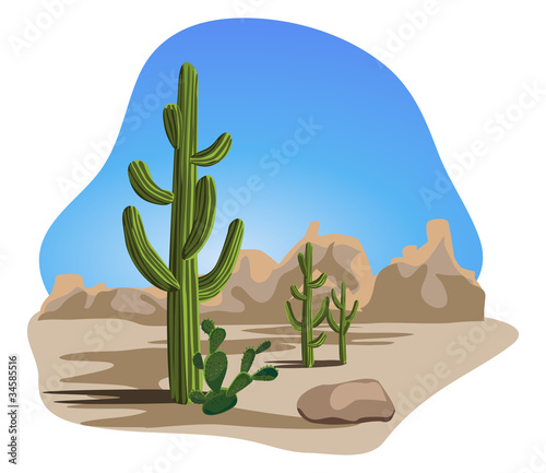 Cactus and Desert