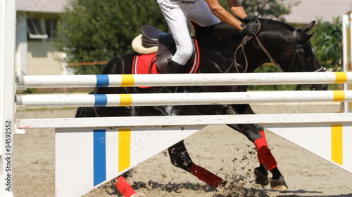 equestrian show jumping
