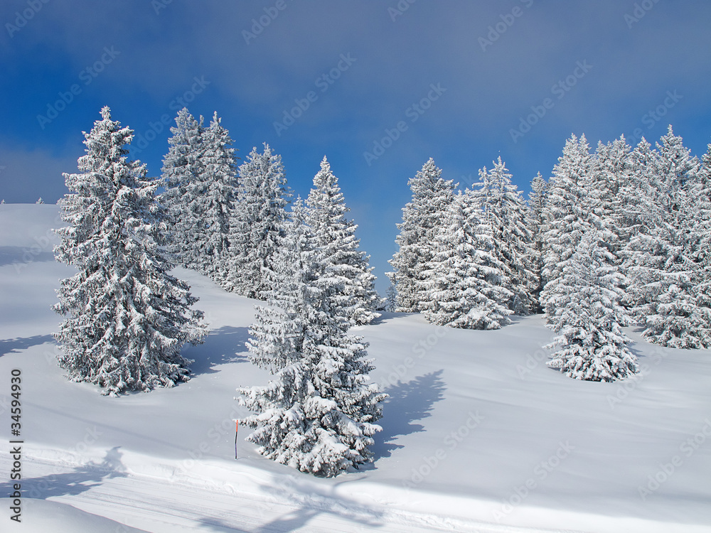 Winter in the alps Winter in the alps