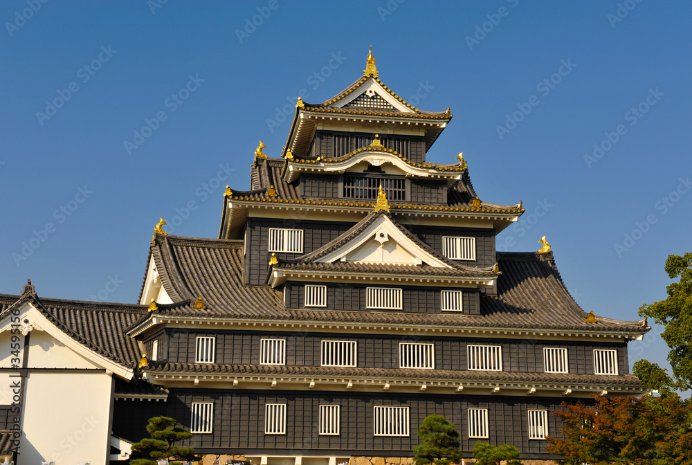 okayama castle in japan