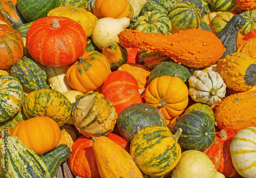 Colorful pumpkins