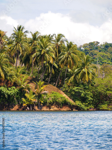 Shore with lush tropical vegetation in the archipelago of Bocas del Toro, San Cristobal island, Caribbean sea, Panama, Central America