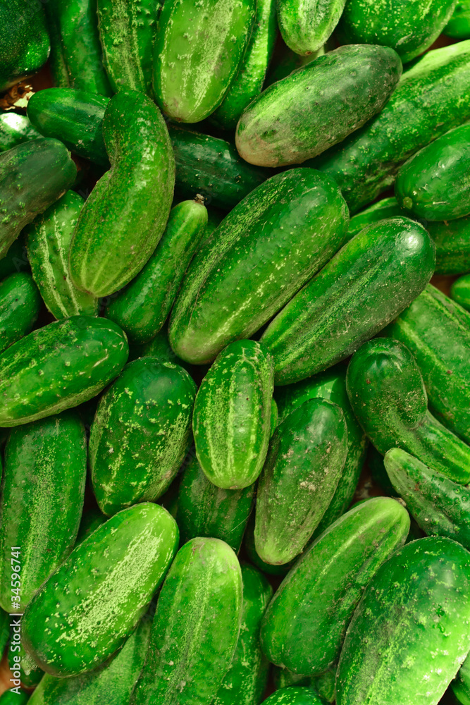 cucumbers cucumbers