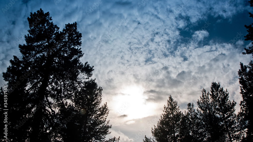 clouds and sun over the forest, timelapse clouds and sun over the forest, timelapse