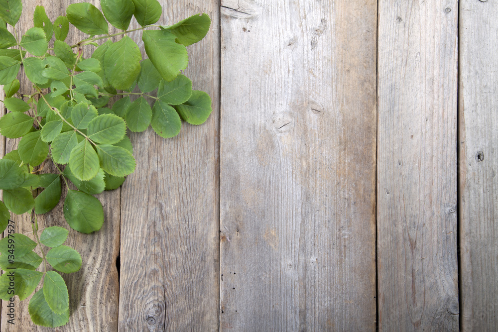 Leaves over wooden background. Leaves over wooden background.