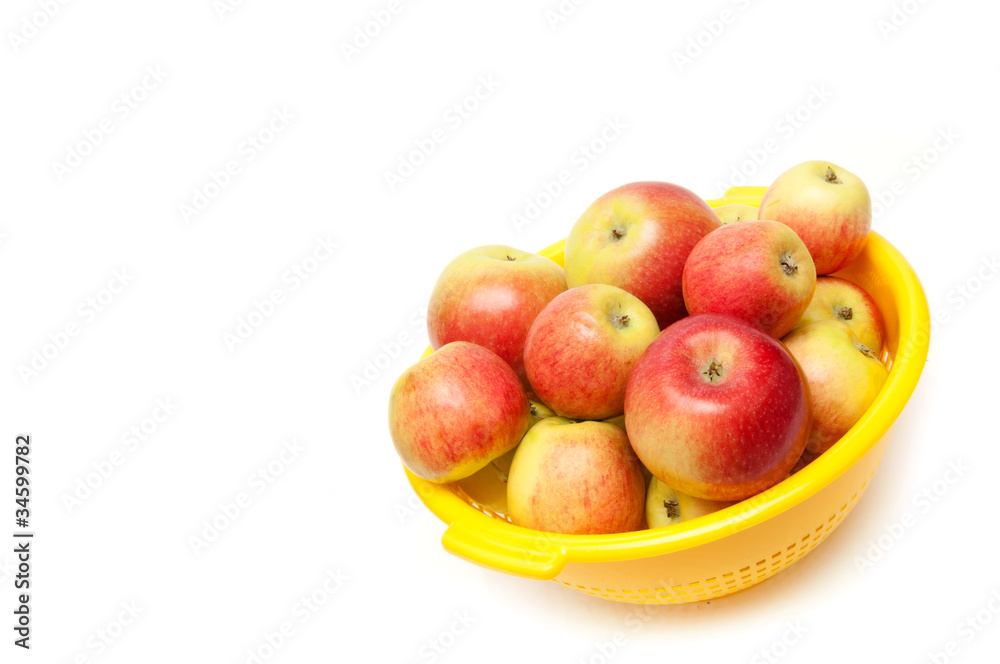 Apples Apples