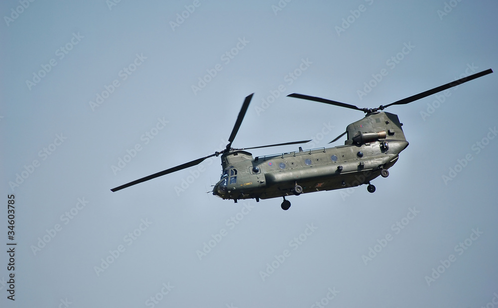 Chinook Chinook
