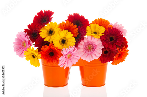 Orange buckets with colorful flowers