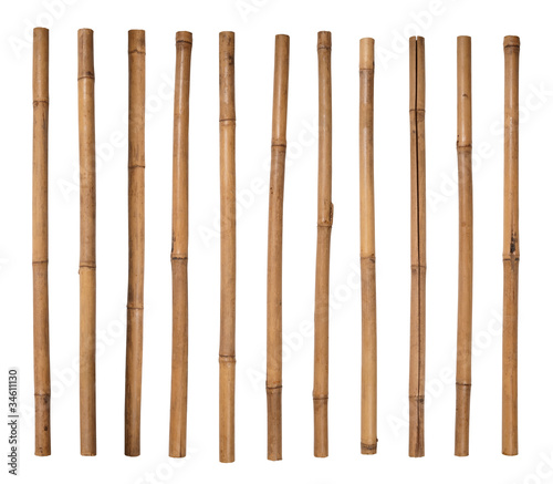 Bamboo sticks isolated on white
