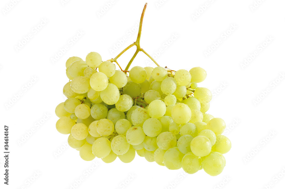 grapes on a white background