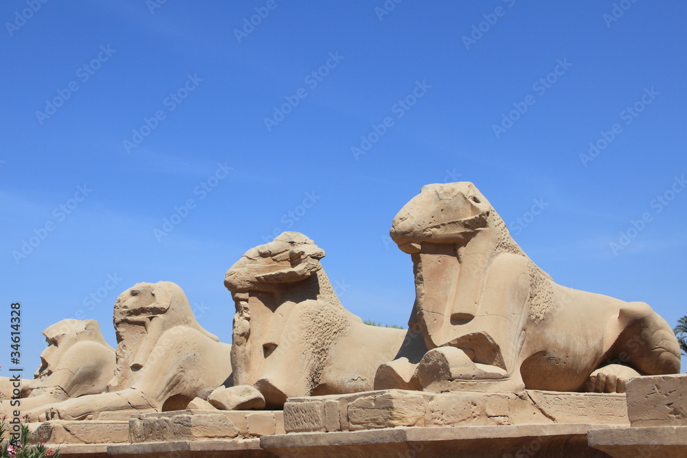ram-headed sphinxes, Temples of Karnak, Luxor, Egypt ram-headed sphinxes, Temples of Karnak, Luxor, Egypt