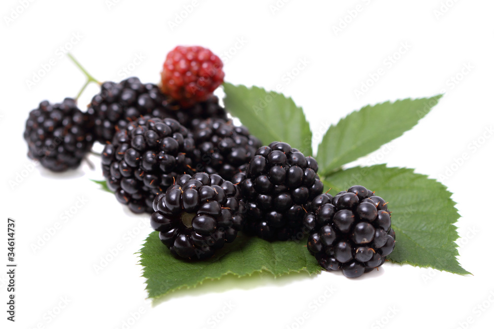 Blackberries on a green leaf Blackberries on a green leaf