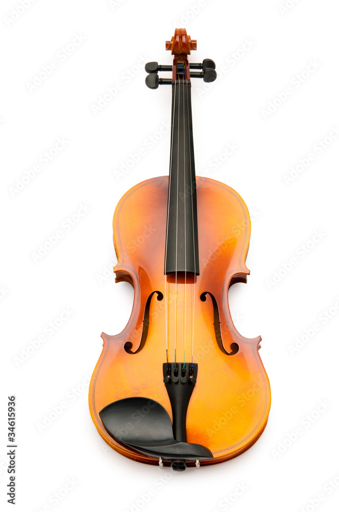 Fototapeta premium Violin isolated on the white