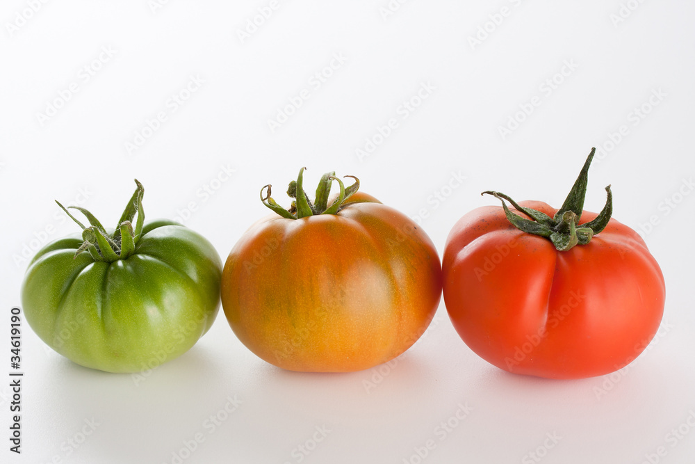 Tomatoes, fresh from the garden, side by side Tomatoes, fresh from the garden, side by side