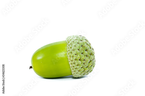 Obraz na płótnie Green acorn fruits on white background w salonie