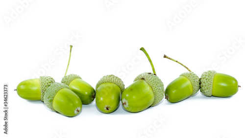 Obraz na płótnie Green acorn fruits on white background w salonie