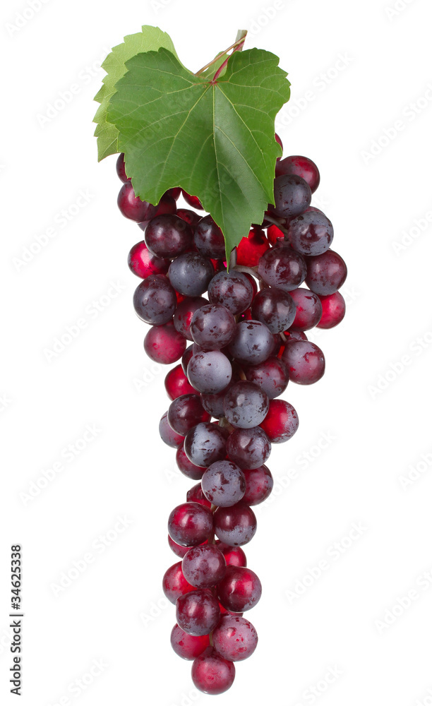 ripe red grapes isolated on white ripe red grapes isolated on white