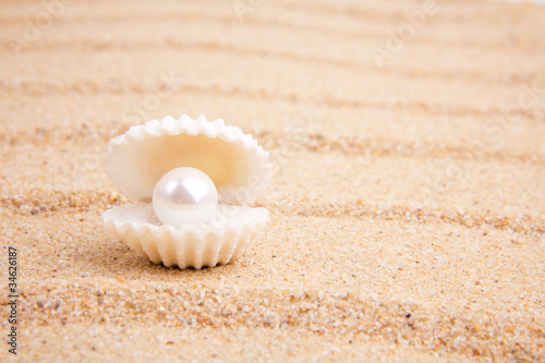 pearl on the seashell . The exotic sea shell .