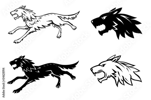 Wolf Illustration