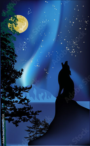 howling wolf on rock at aurora