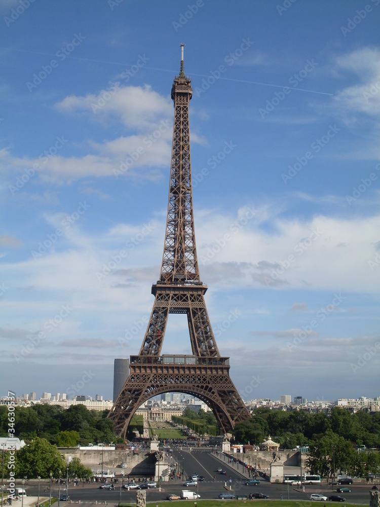 Fototapeta premium The Eiffel Tower in Paris