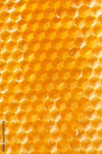 fresh honey in comb © Maksim Shebeko