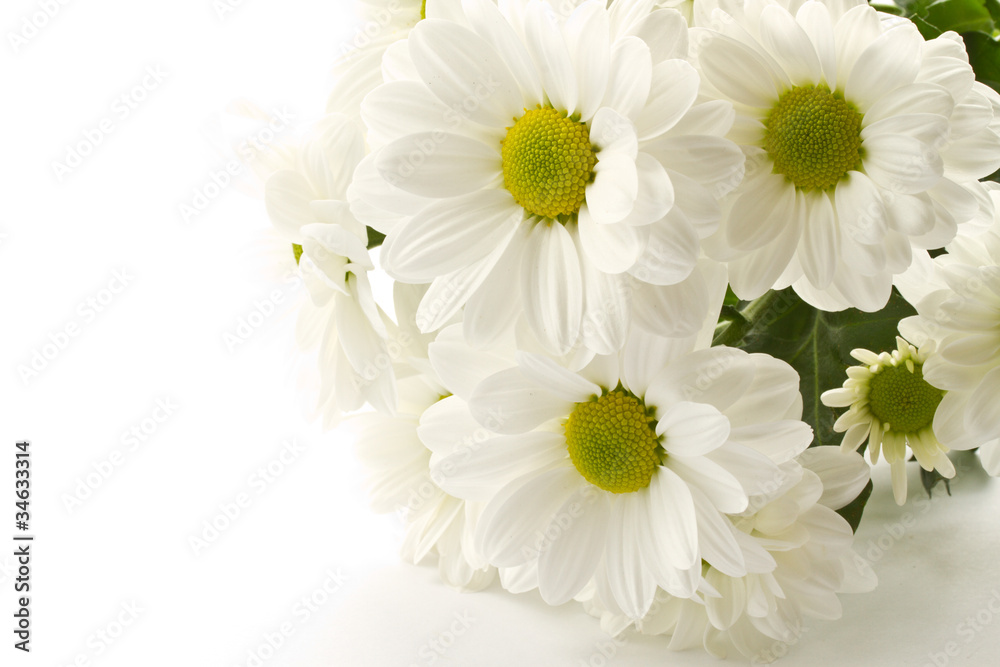 Fototapeta premium a bouquet of beautiful flowers