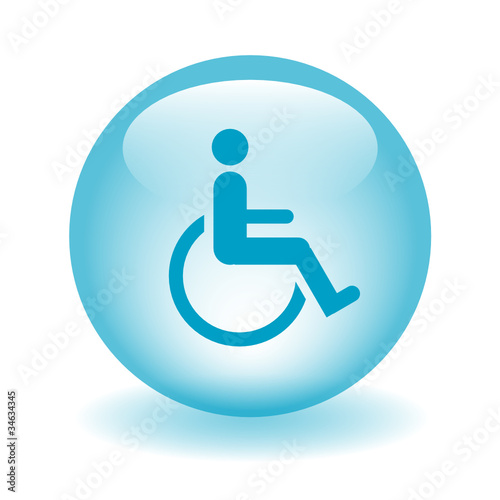 DISABILITY ACCESS Vector Web Icon