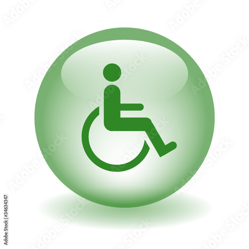 DISABILITY ACCESS Vector Web Icon