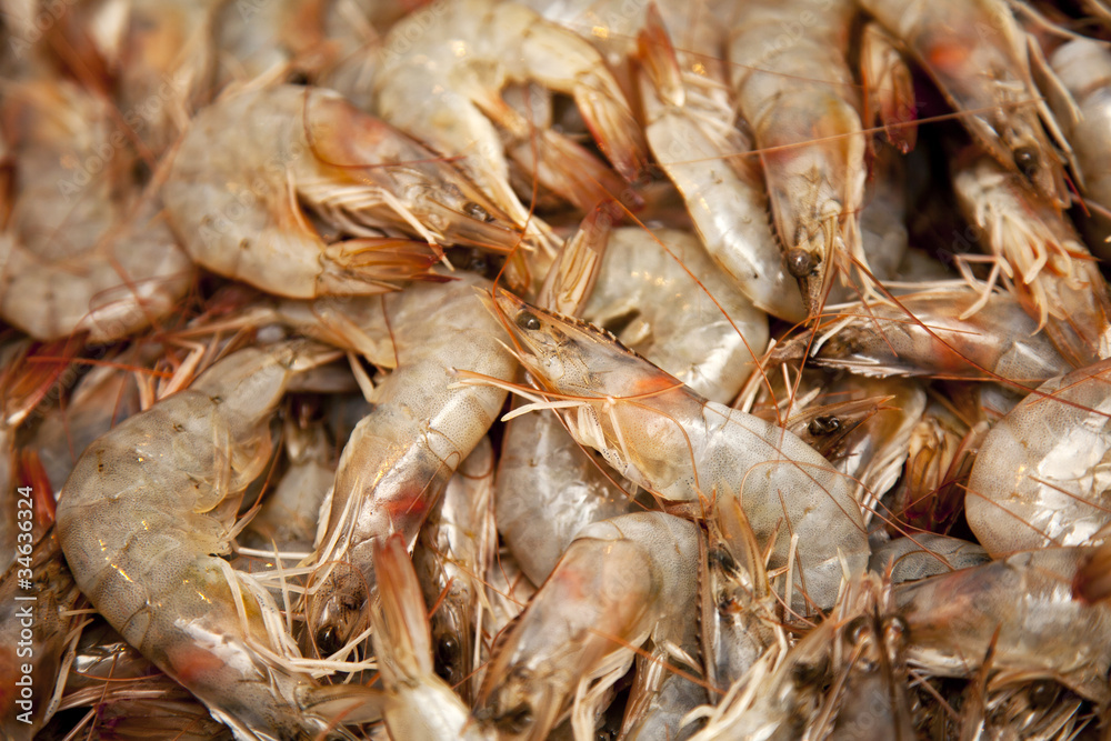 Fresh King Prawns Fresh King Prawns
