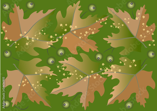 Background from autumn leaves and fruits.Wallpaper.