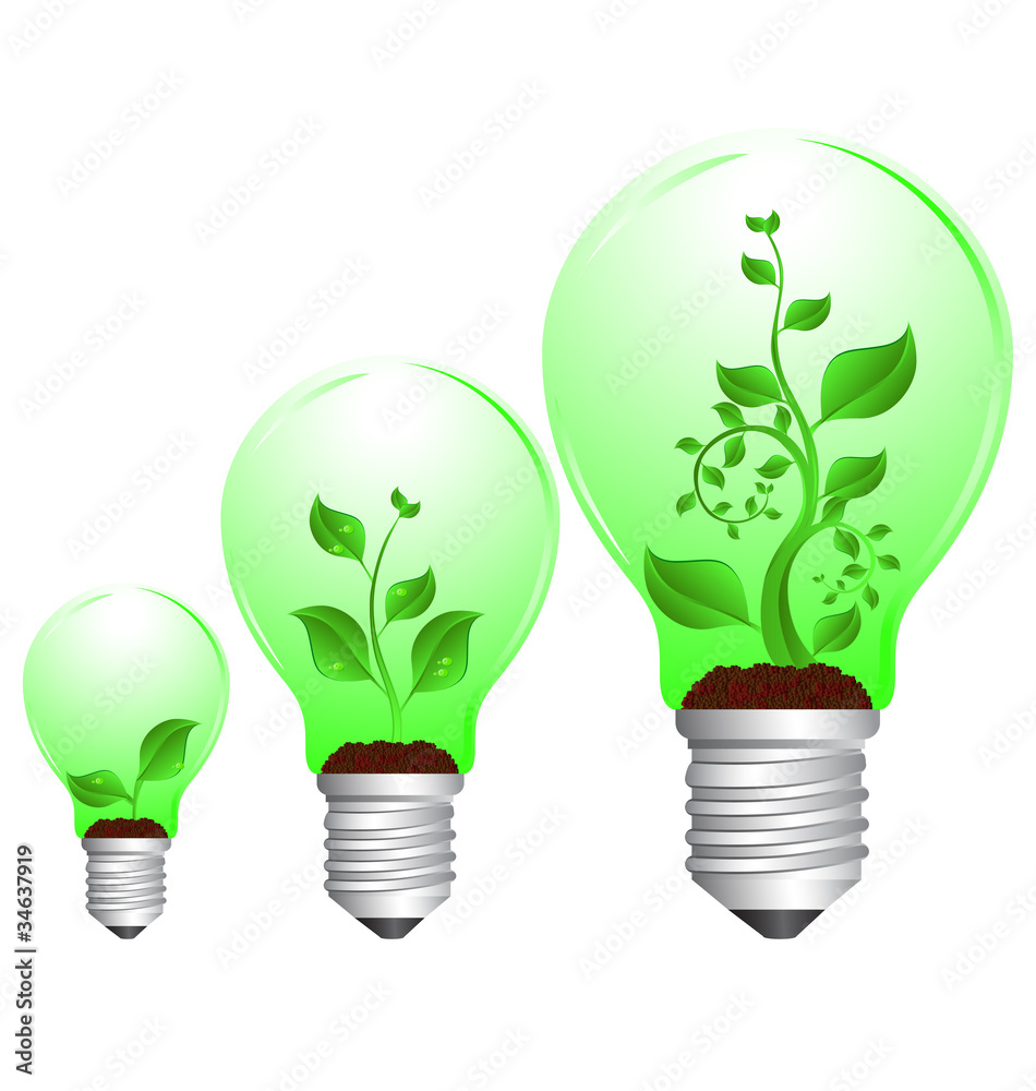 bulb and plant growth