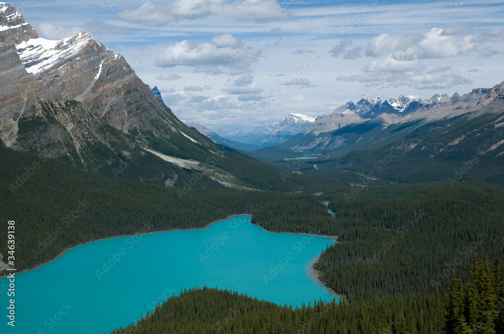 Naklejka premium Peyto Lake