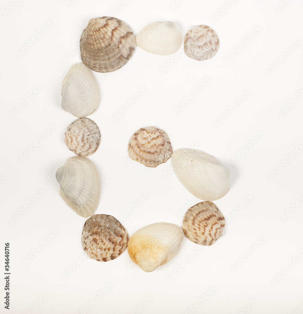 Alphabet letter made from sea shells Alphabet letter made from sea shells