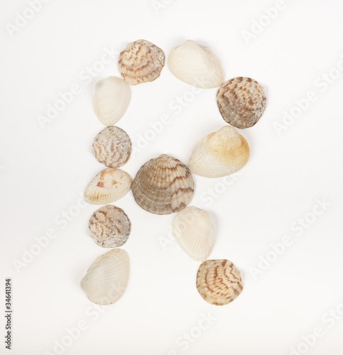 Alphabet letter made from sea shells