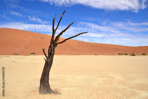 desert Namib,Namibia,Sossusvlei location © gallas